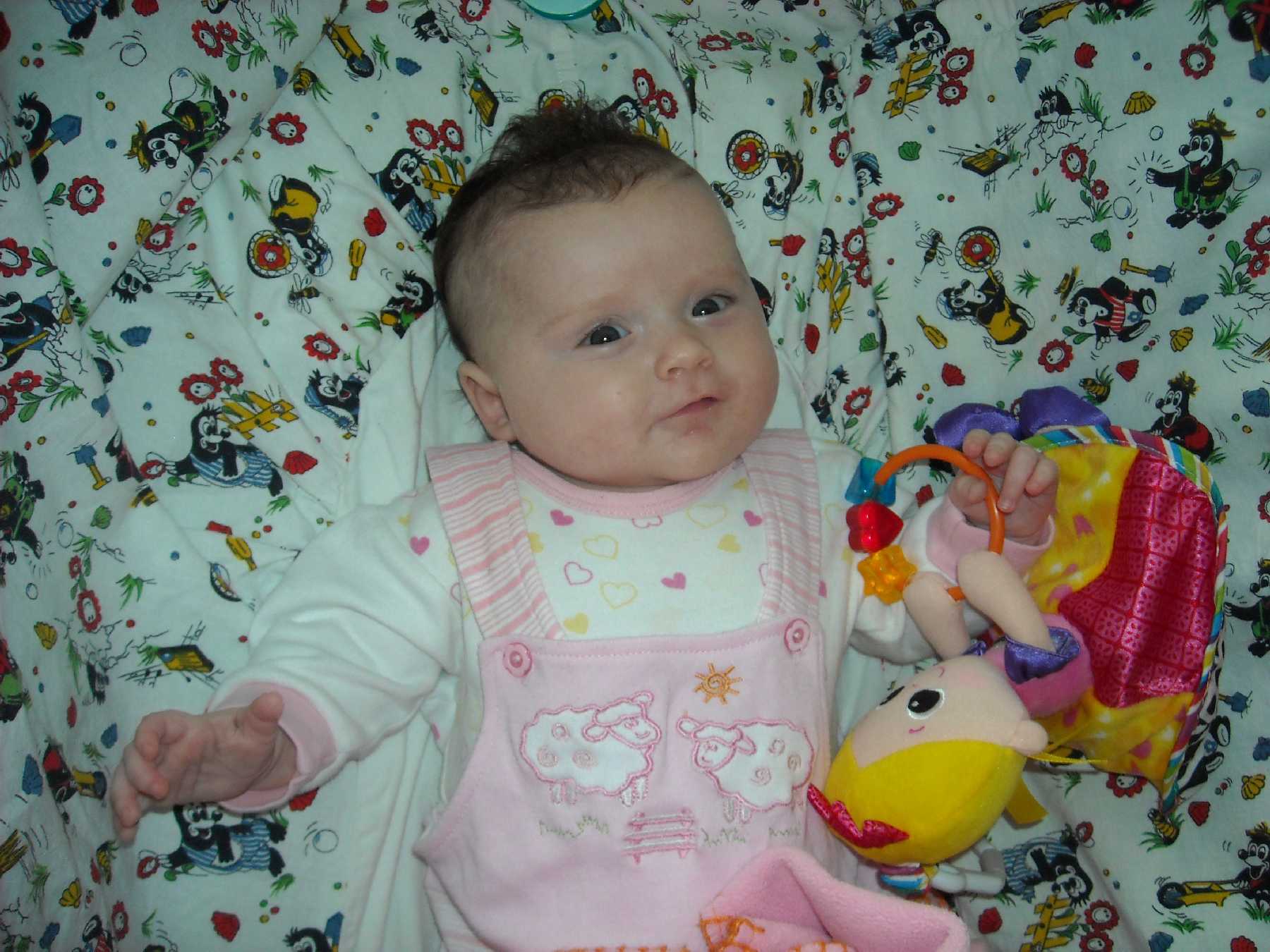 DSCN3294.JPG